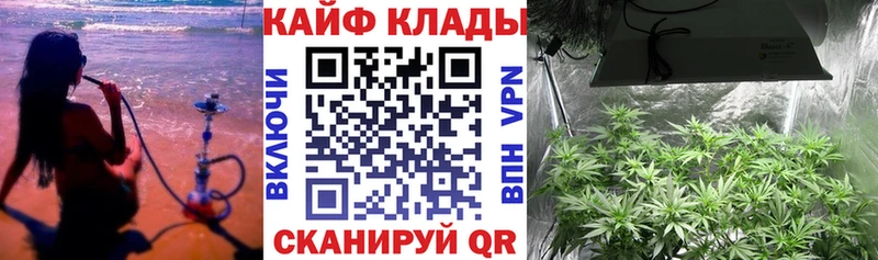 ГАШ Пенза