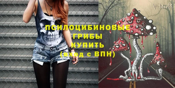 индика Алексеевка