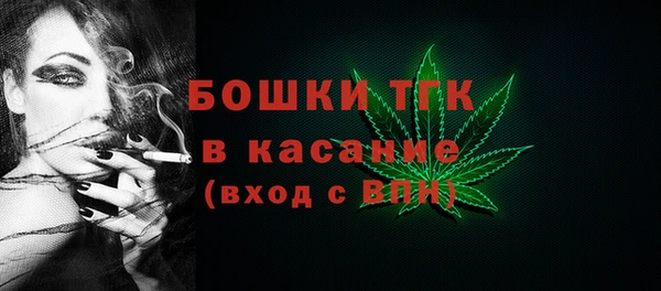 индика Алексеевка