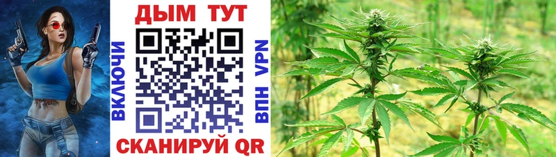 omg как зайти  Пенза  Бошки Шишки THC 21% 